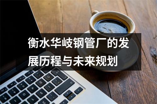 衡水华岐钢管厂的发展历程与未来规划